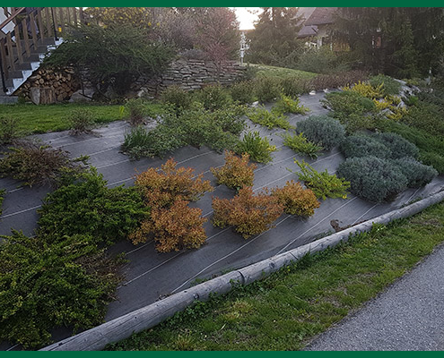 Toile de paillage et plantation par Destaing Paysagiste à Aime