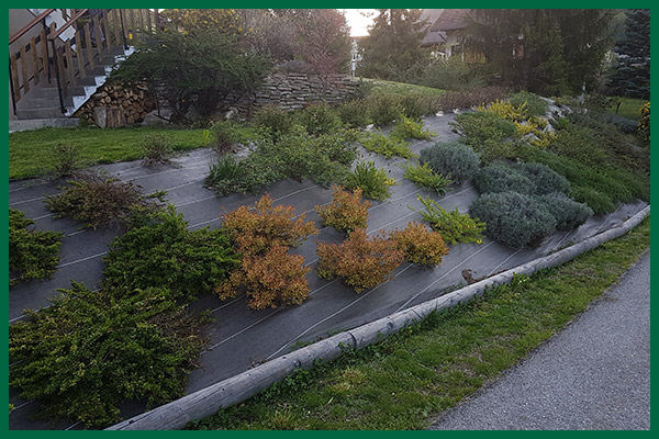 Toile de paillage et plantation par Destaing Paysagiste à Aime